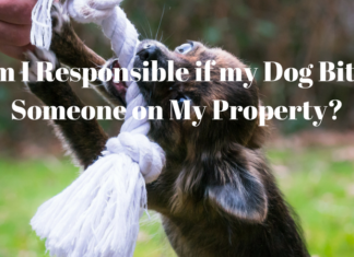 Am I Responsible if my Dog Bites Someone on My Property