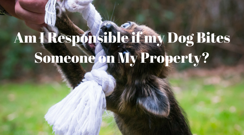Am I Responsible if my Dog Bites Someone on My Property