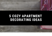 5 Cozy Apartment Decorating Ideas