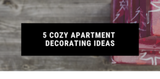 5 Cozy Apartment Decorating Ideas