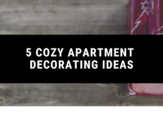 5 Cozy Apartment Decorating Ideas